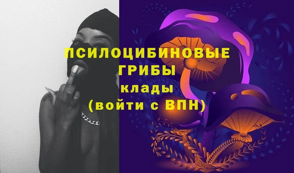 мдма Лагань